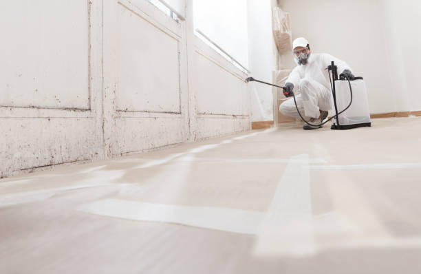 Post-remediation clearance in Saint Petersburg